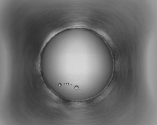 X0000113151374200909110945