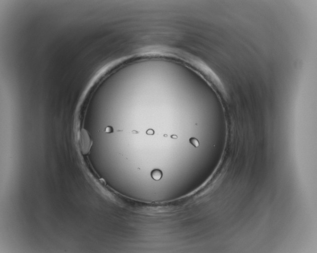 X0000113151376200909110945