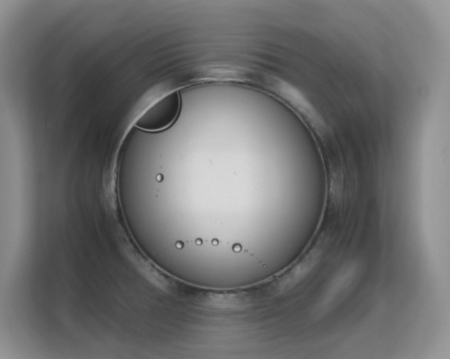 X0000113151378200909110945