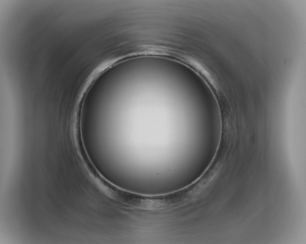 X0000113151379200909110945