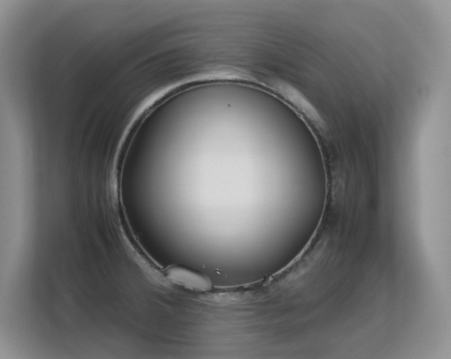 X0000113151380200909110945