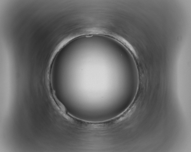 X0000113151381200909110945