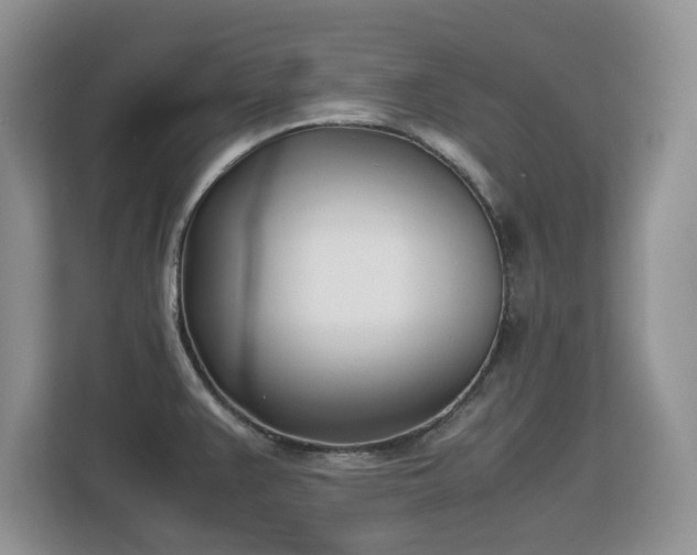 X0000113151383200909110945