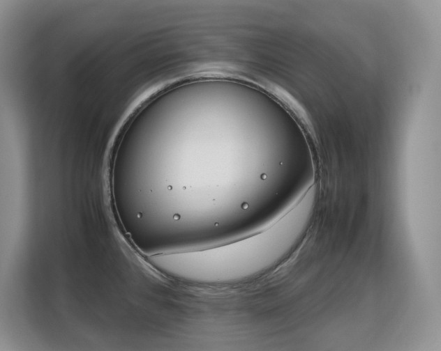 X0000113151384200909110945