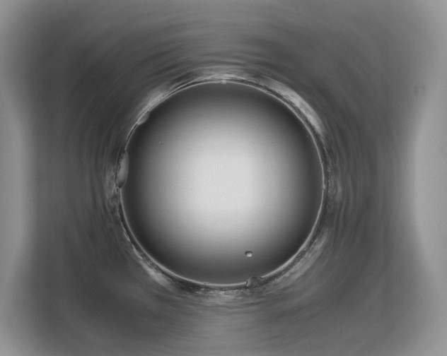 X0000113151385200909110945