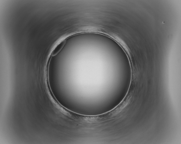 X0000113151389200909110945