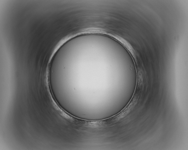 X0000113151390200909110945