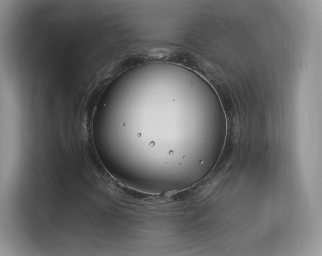 X0000113151394200909110945