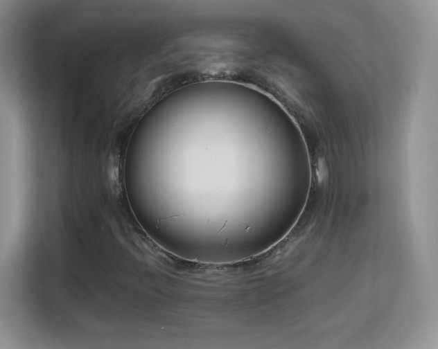 X0000113151396200909110945