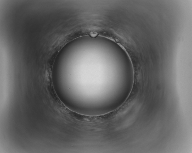 X0000113151397200909110945