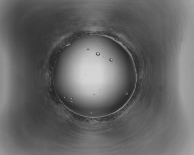 X0000113151398200909110945