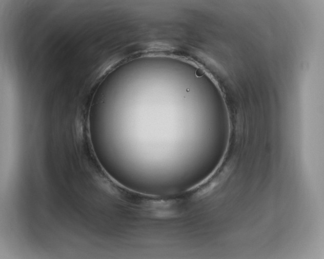 X0000113151401200909110945