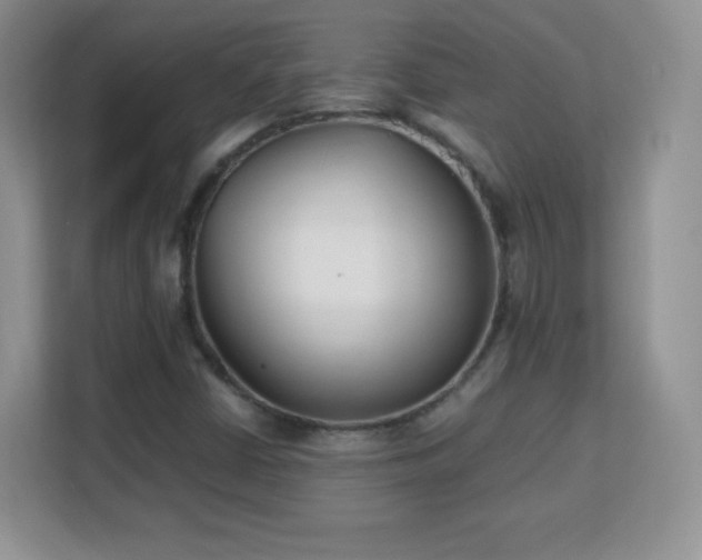 X0000113151402200909110945