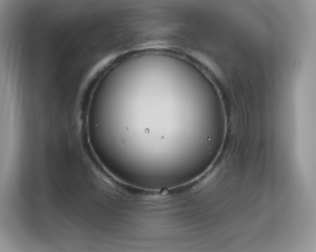 X0000113151406200909110945