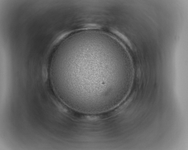 X0000113151407200909110945