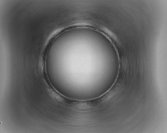 X0000113151408200909110945