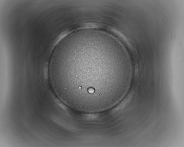 X0000113151409200909110945