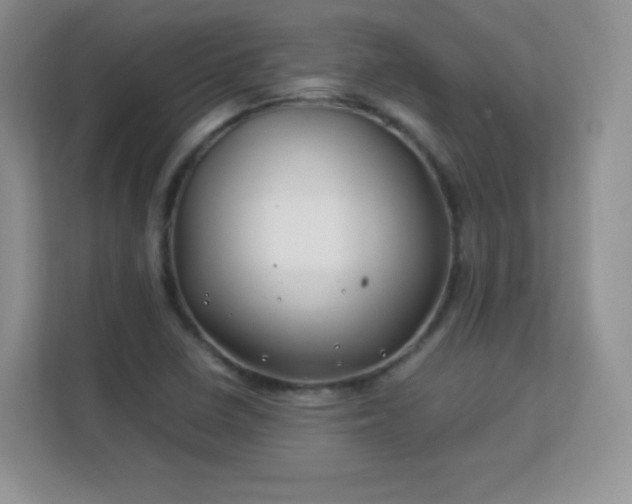 X0000113151410200909110945