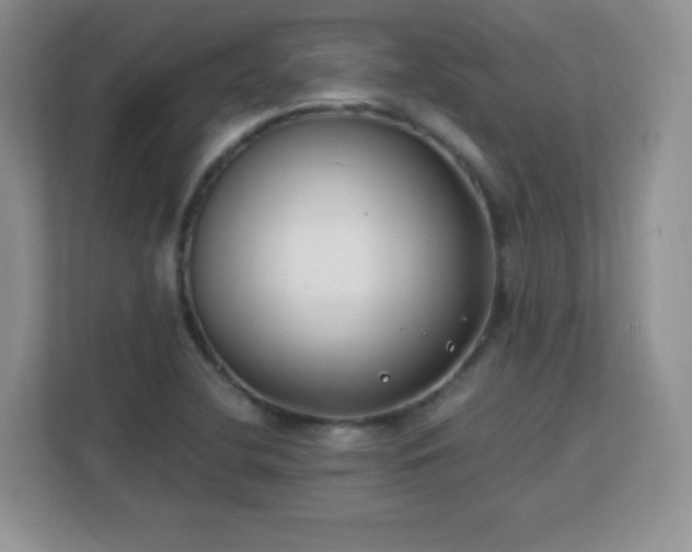 X0000113151412200909110945