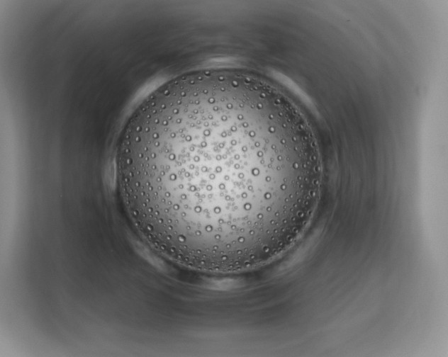 X0000113151413200909110945