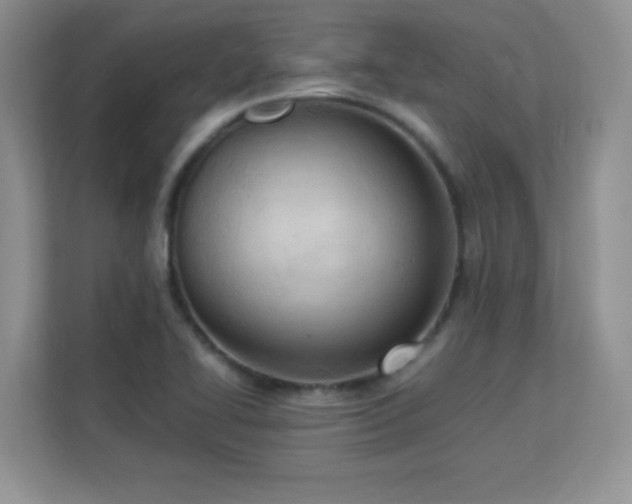 X0000113151414200909110945