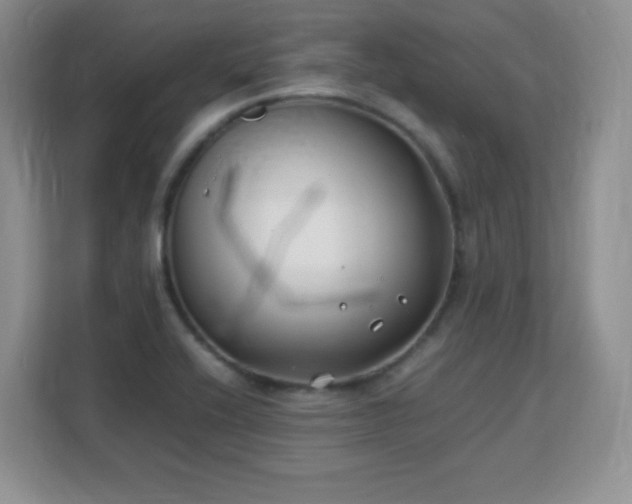 X0000113151416200909110945