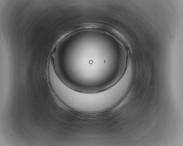 X0000113151417200909110945