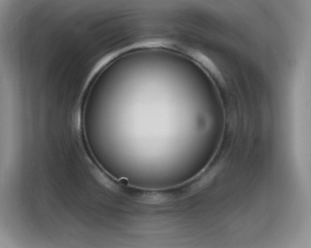 X0000113151420200909110945