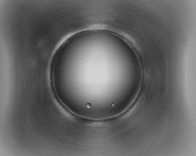 X0000113151422200909110945