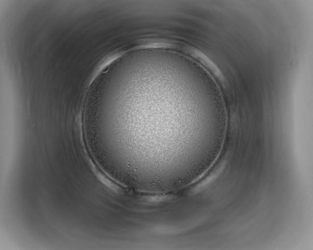 X0000113151425200909110945