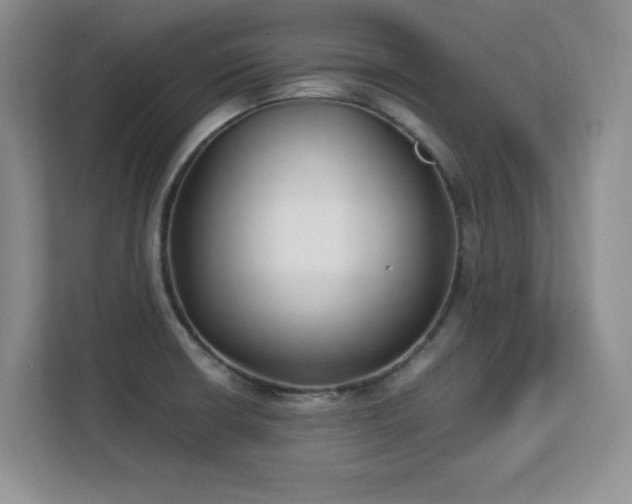 X0000113151426200909110945