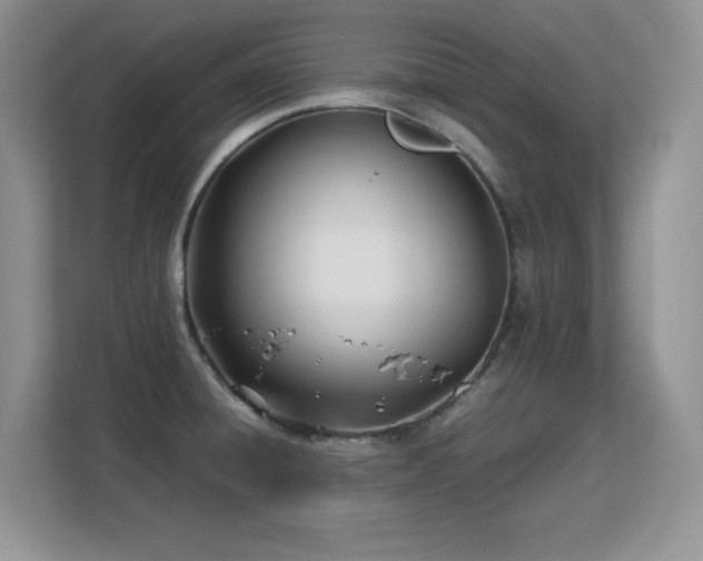 X0000113151428200909110945