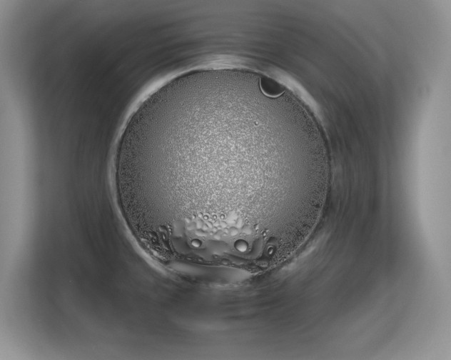 X0000113151429200909110945