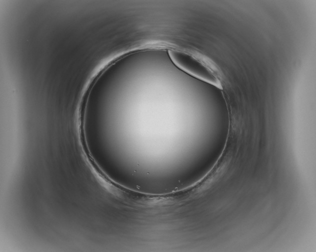 X0000113151430200909110945