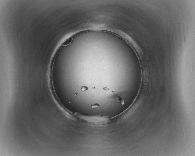 X0000113151432200909110945