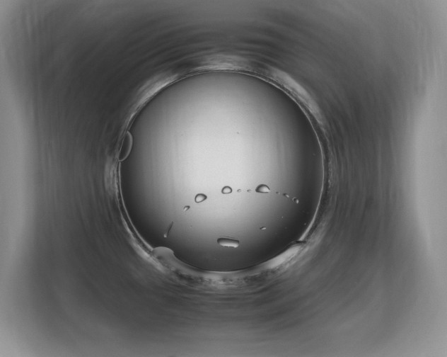 X0000113151433200909110945