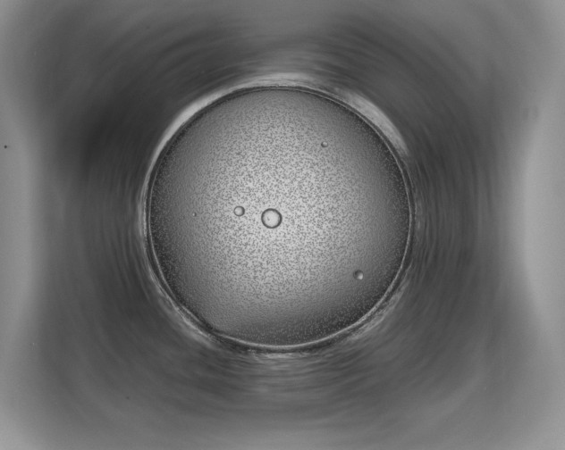 X0000113151436200909110945