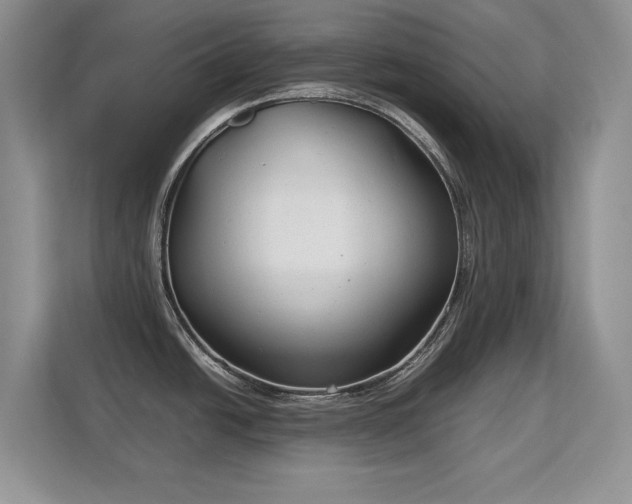 X0000113151438200909110945