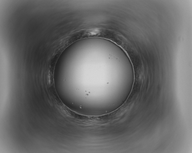 X0000113151442200909110945