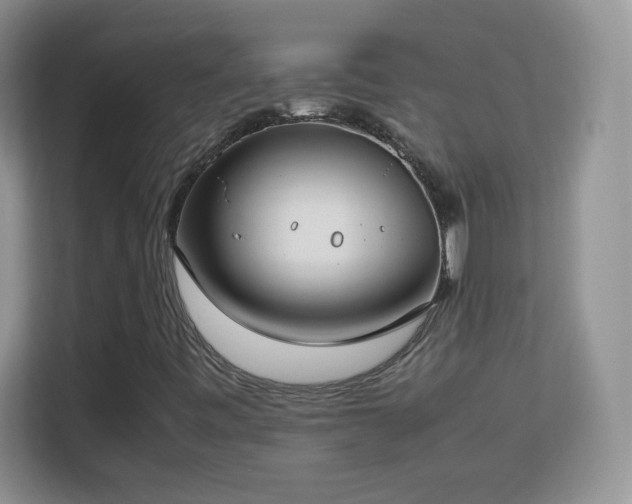 X0000113151443200909110944