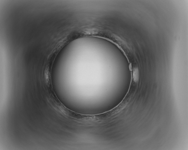 X0000113151444200909110944