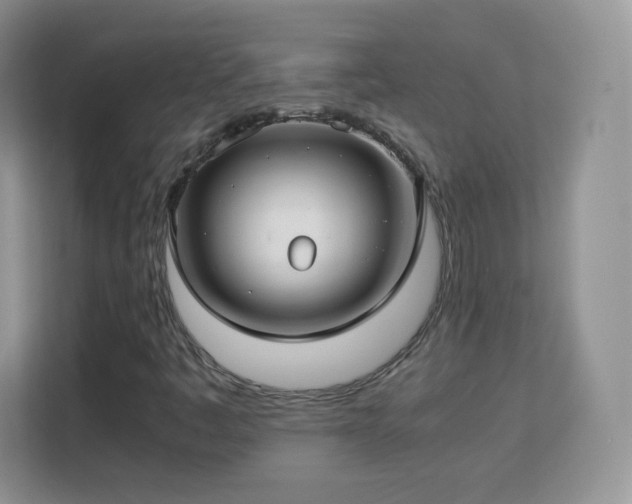 X0000113151445200909110944