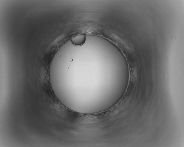 X0000113151446200909110944