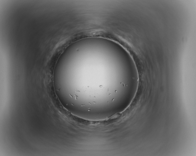 X0000113151447200909110944