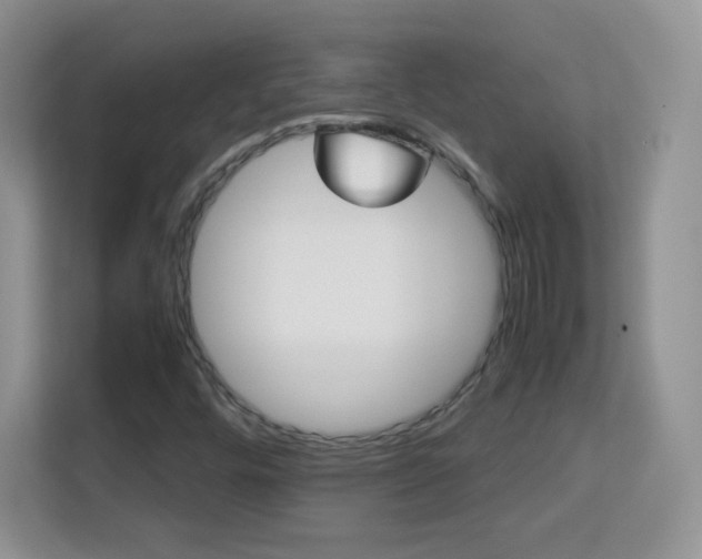 X0000113151448200909110944