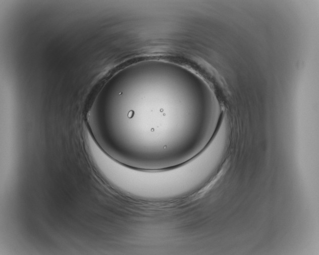 X0000113151449200909110944