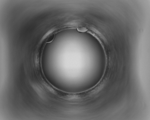 X0000113151450200909110944