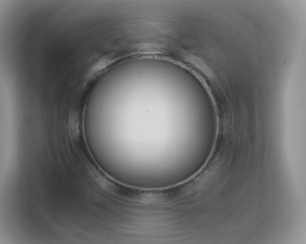 X0000113151451200909110944