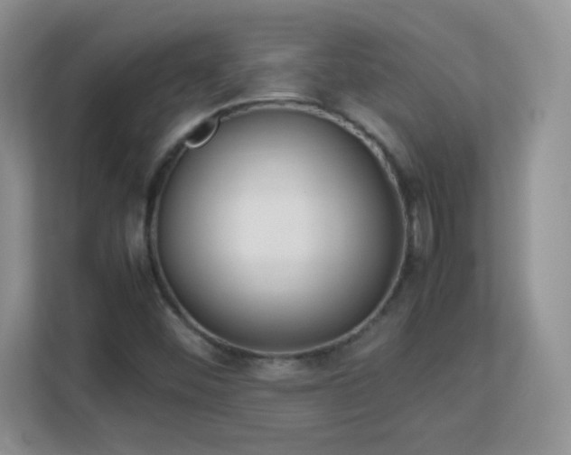 X0000113151452200909110944