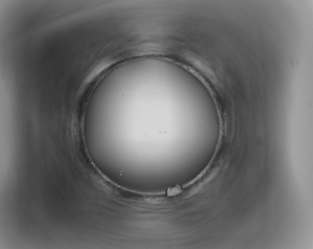 X0000113151453200909110944